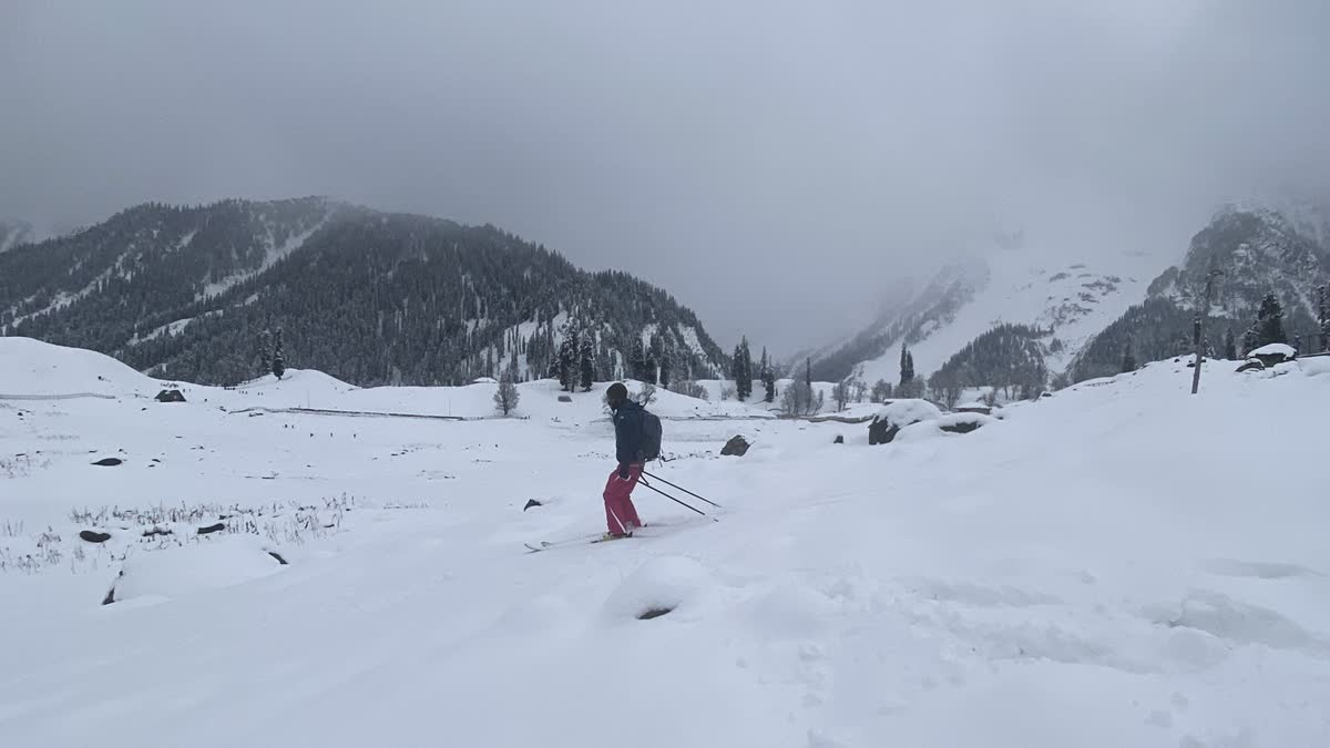 Fresh snowfall at ski resort Gulmarg