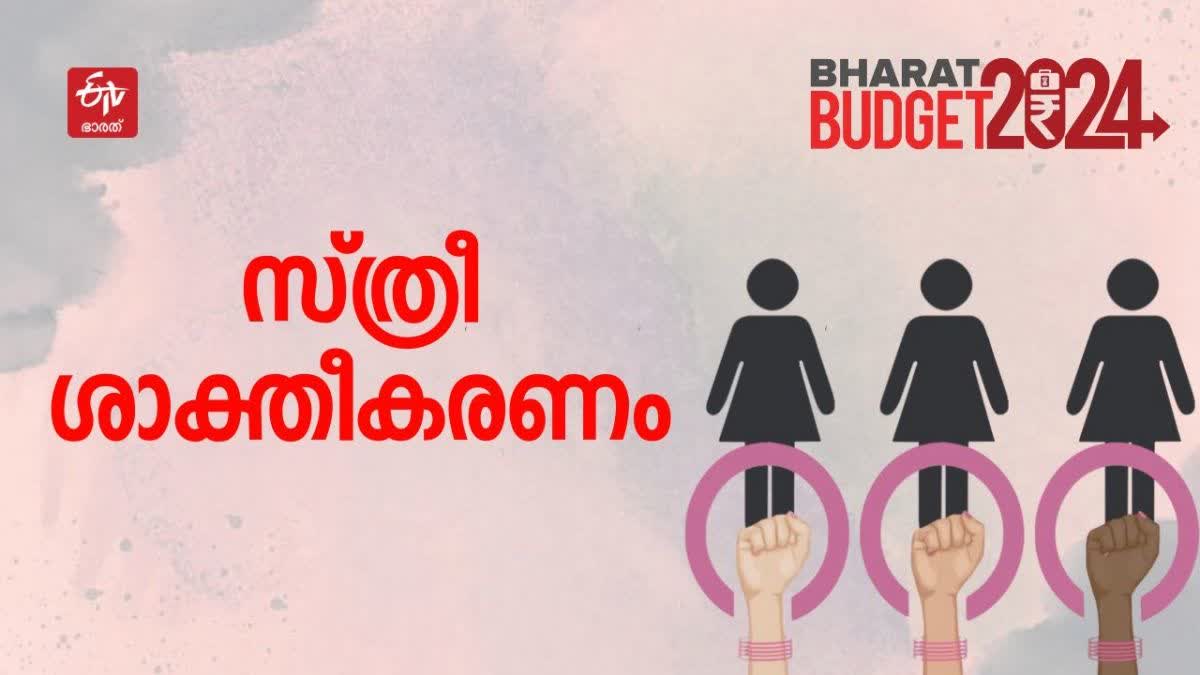 union budget 2024  nirmala sitharaman  parliament budget sesssion 2024  കേന്ദ്ര ബജറ്റ് 2024  ഇടക്കാല ബജറ്റ് 2024