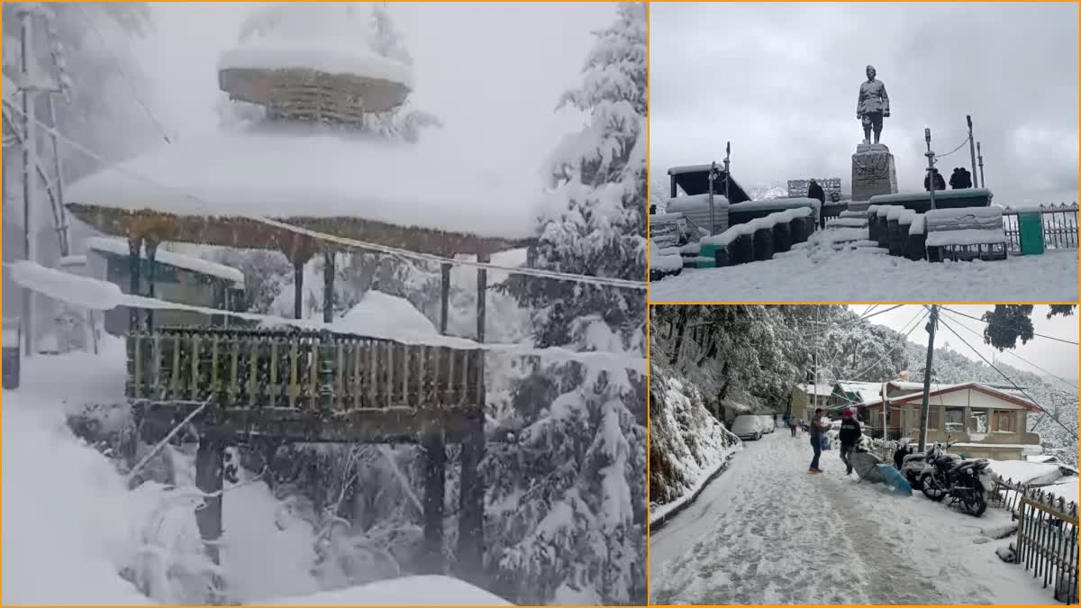 snowfall in Himachal