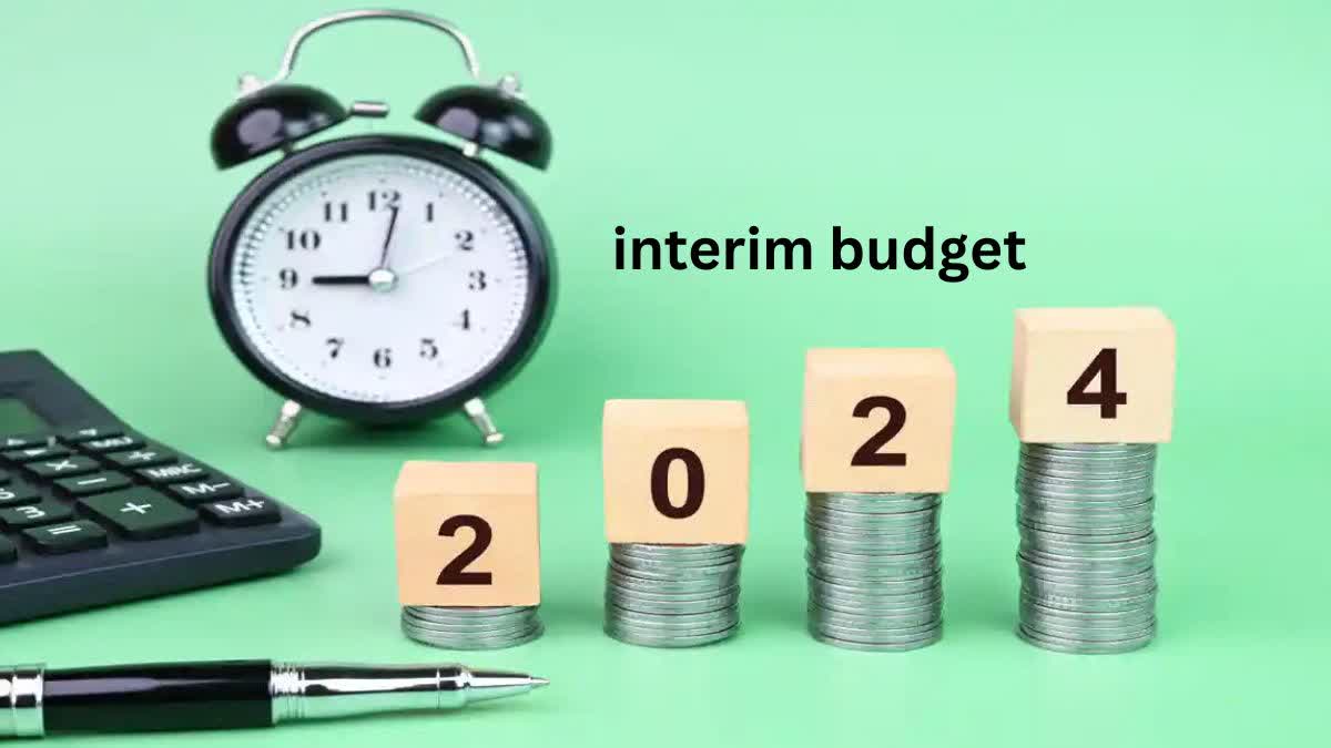 Interim Budget 2024