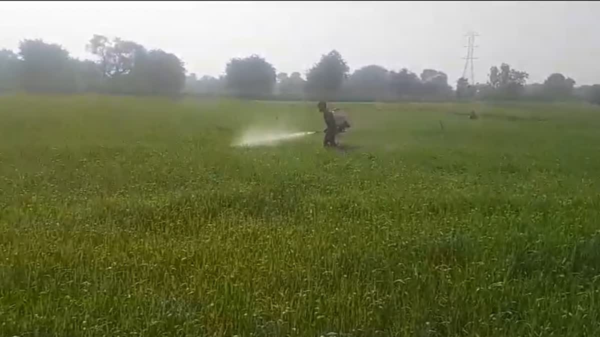 Spray Liquor for Good Crop