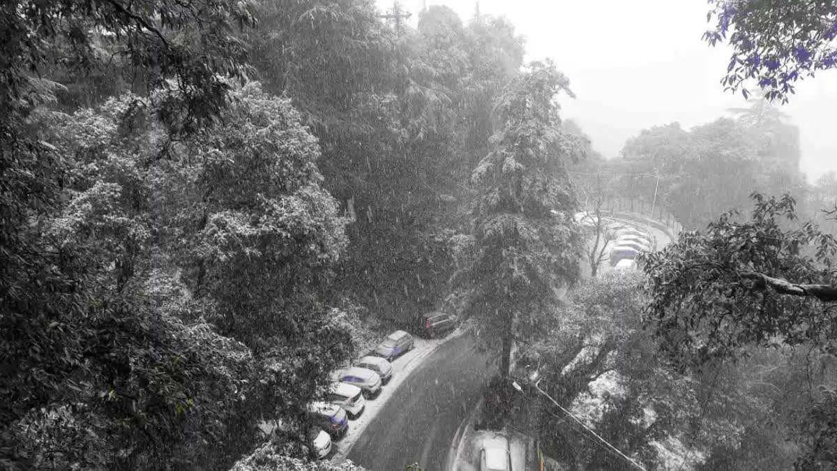 himachal weather update