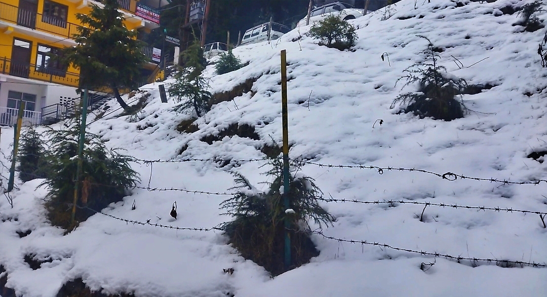 Snowfall in Chamba