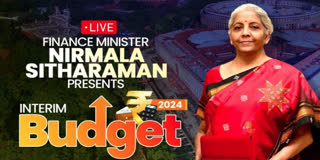 Finance Minister Nirmala Sitharaman presents Interim Budget in Parliament