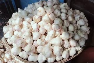 Garlic Price Hike