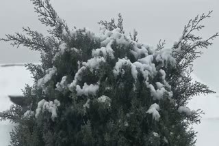 JK Seasons first snowfall covers Srinagar with white blanket of snow