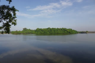 The Union Ministry of Environment and Forest has recognized the Longwood Shola Reserve Forest in the Nilgiris and the Karaiveti Bird Sanctuary in Ariyalur as Ramsar Sites in Tamil Nadu