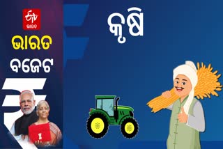 Agricultural Budget 2024