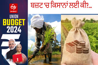 interim budget 2024 govt focus on rural people and farmers