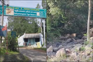 leopard sleeping near DHIMBAM forest area forest department warning motorists