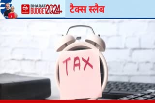 interim Budget 2024