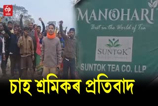 tea garden workers protest at manohari tea garden of lahowal
