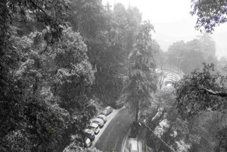 Snowfall in Shimla