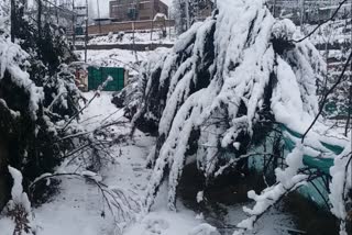 کشمیر میں برفباری سے طویل خشک موسم کا خاتمہ