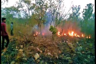 Fire in Amrabad Nallamala Forest