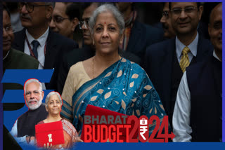 Budget 2024 (File Photo)