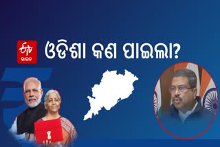 ବଜେଟ2024: ବଜେଟରୁ ଓଡିଶା କଣ ପାଇବ ବୁଝାଇଲେ ଧର୍ମେନ୍ଦ୍ର ପ୍ରଧାନ