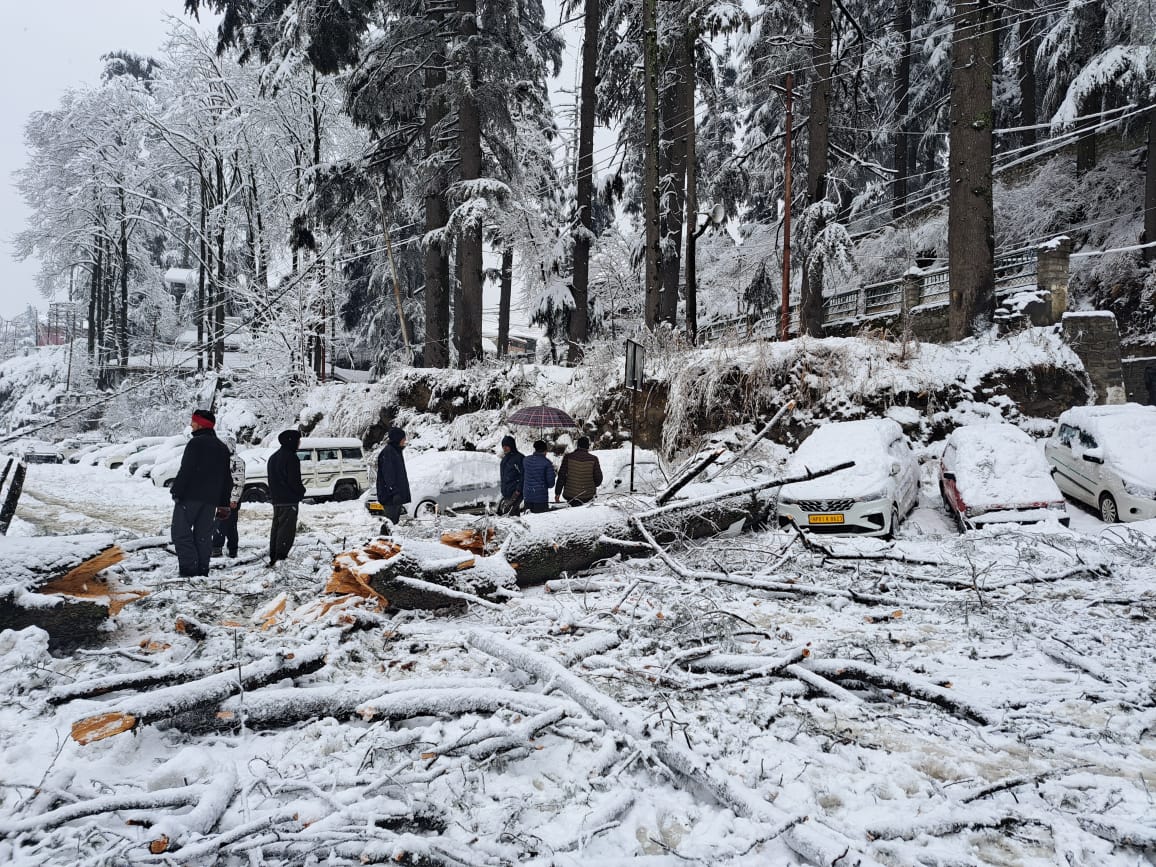 heavy snowfall in Kullu Manali