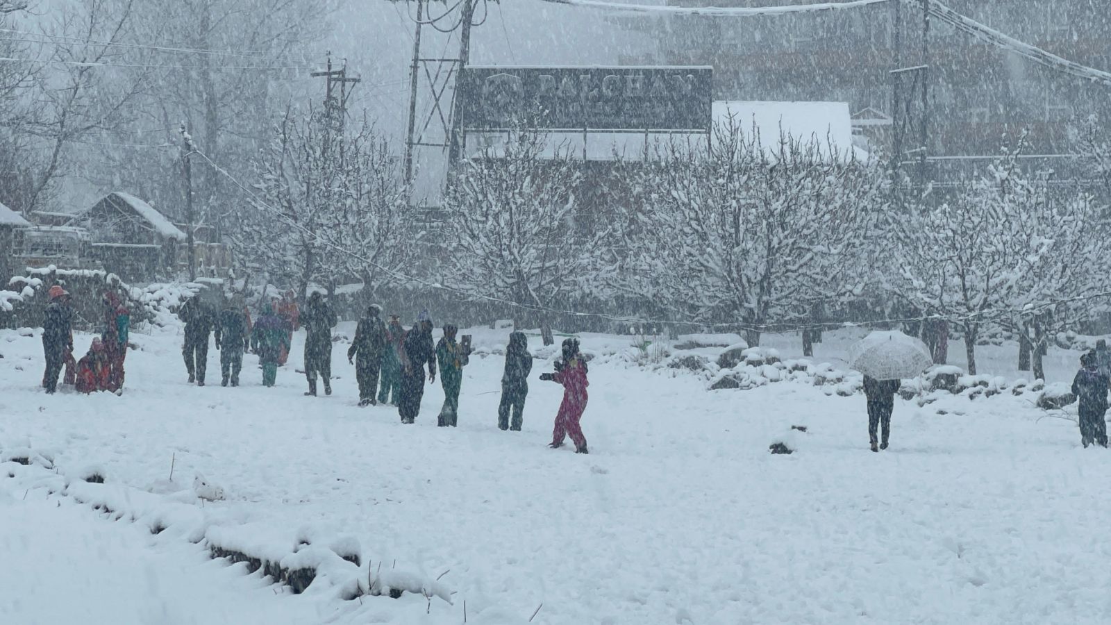 Snowfall In Kullu Himachal