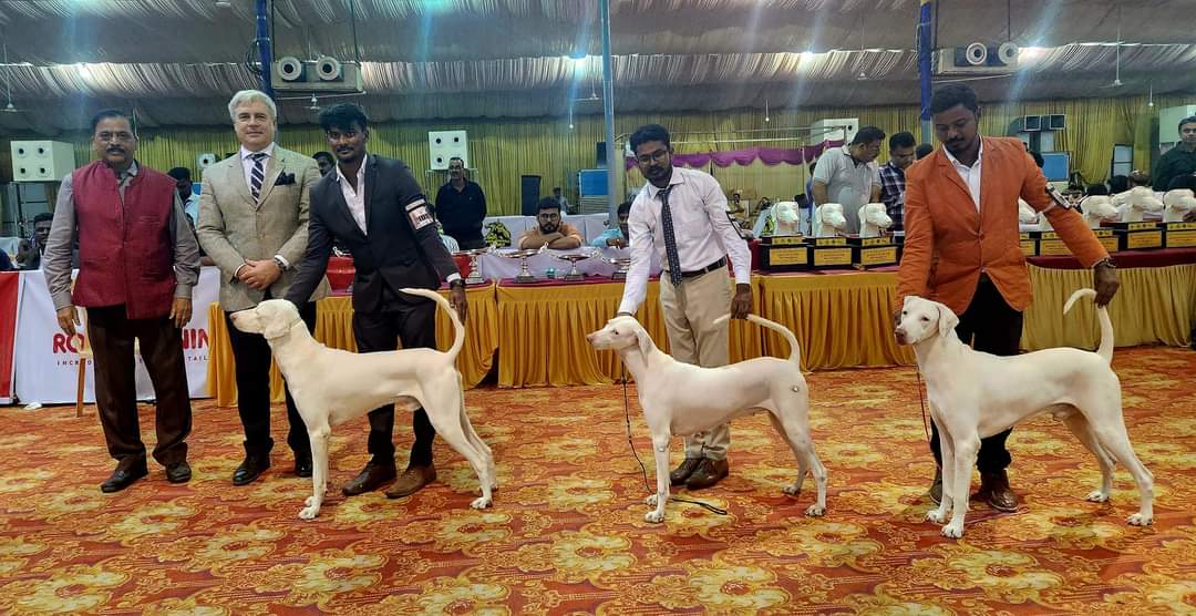 jabalpur national level dog show