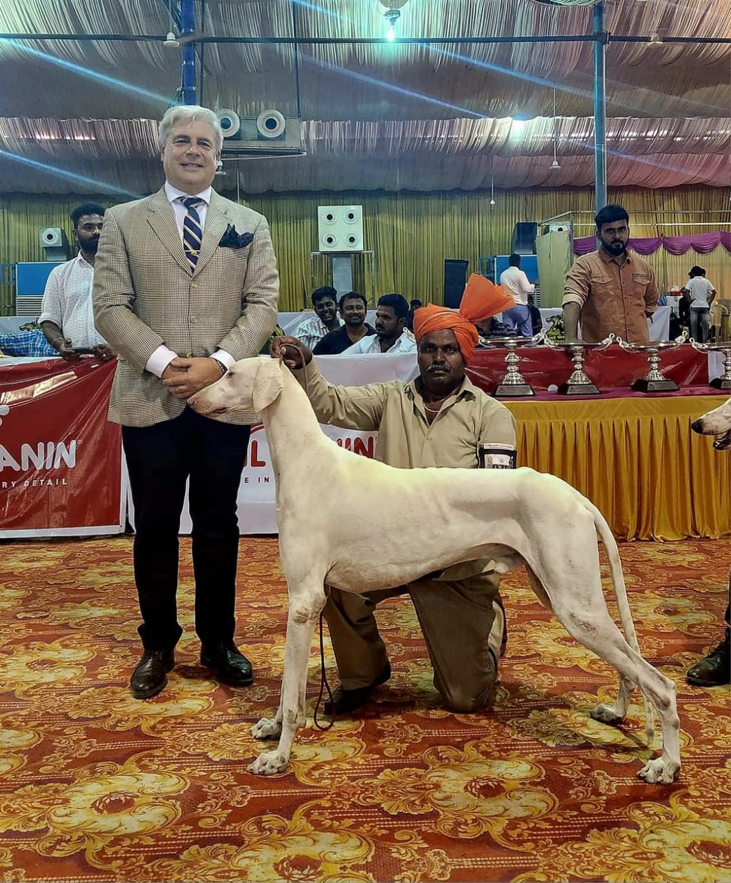 jabalpur national level dog show