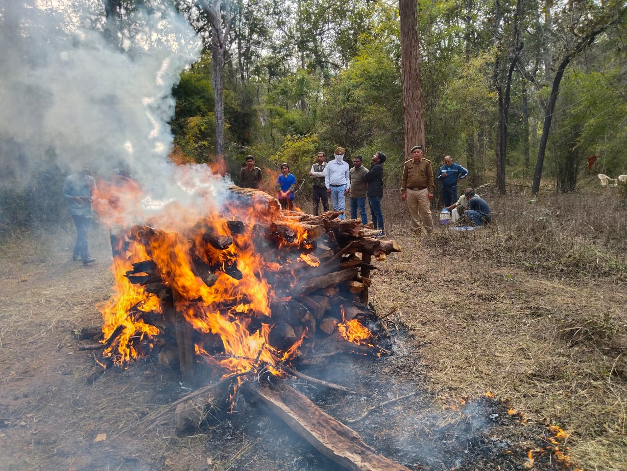 Bandhavgarh Tiger Death