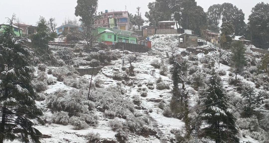 Snowfall In Dharamshala Himachal