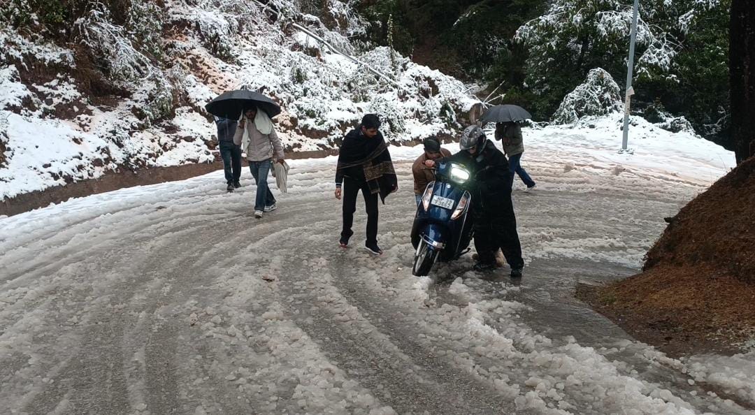 Snowfall In Dharamshala Himachal