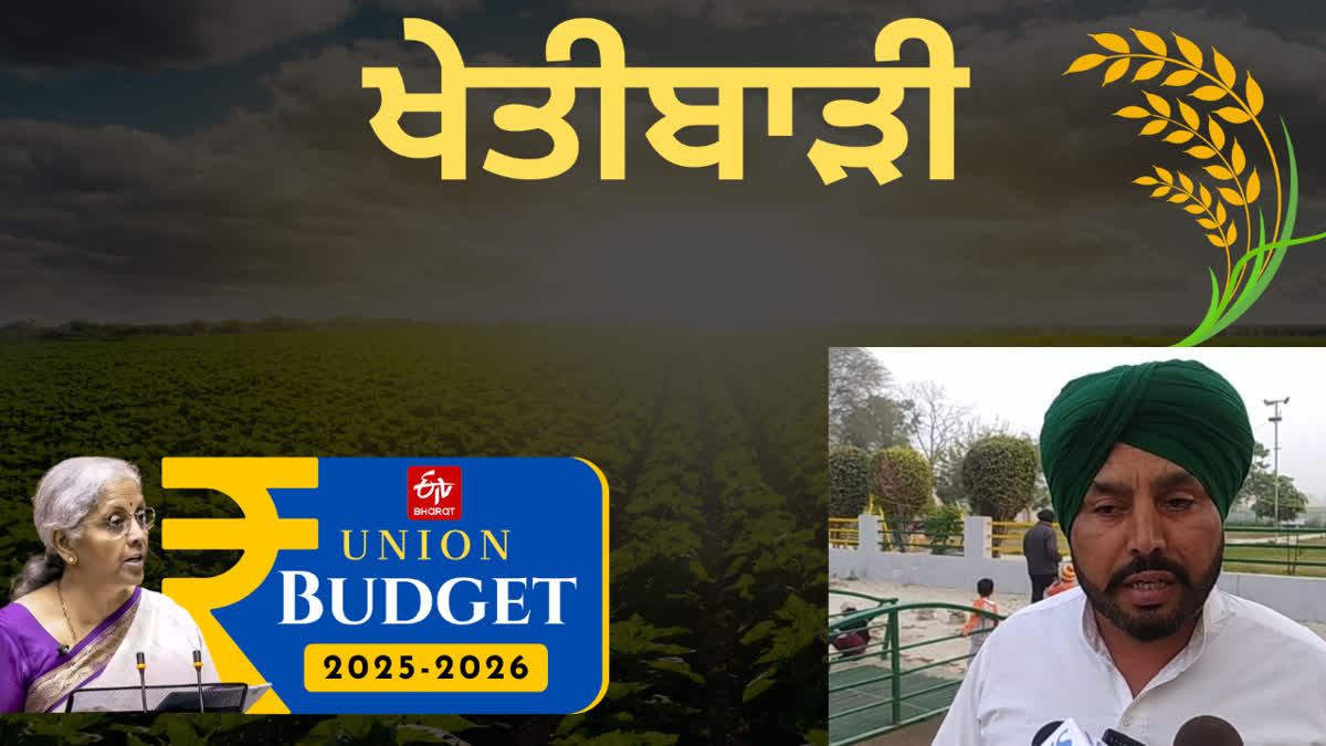 BUDGET 2025