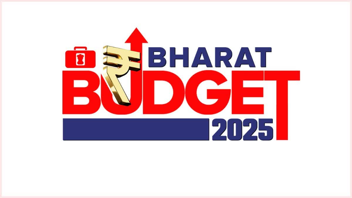 union budget 2025, what is budget, why does the budget matter Learn in detail