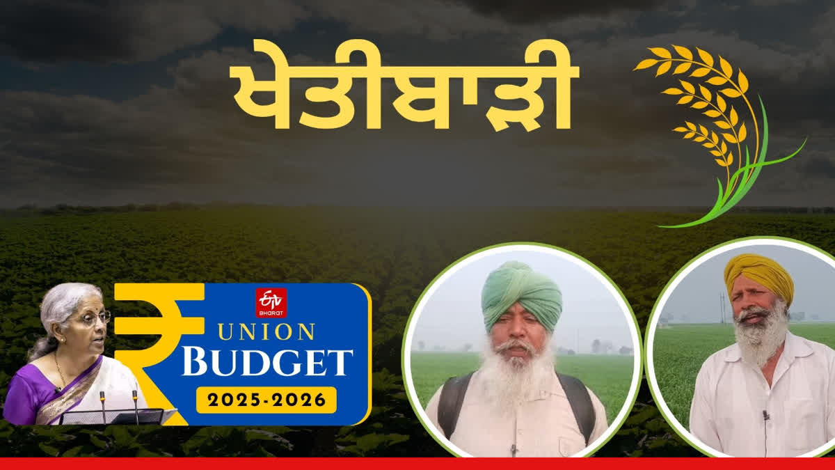 Central government budget benefits only big businessmen: Farmers