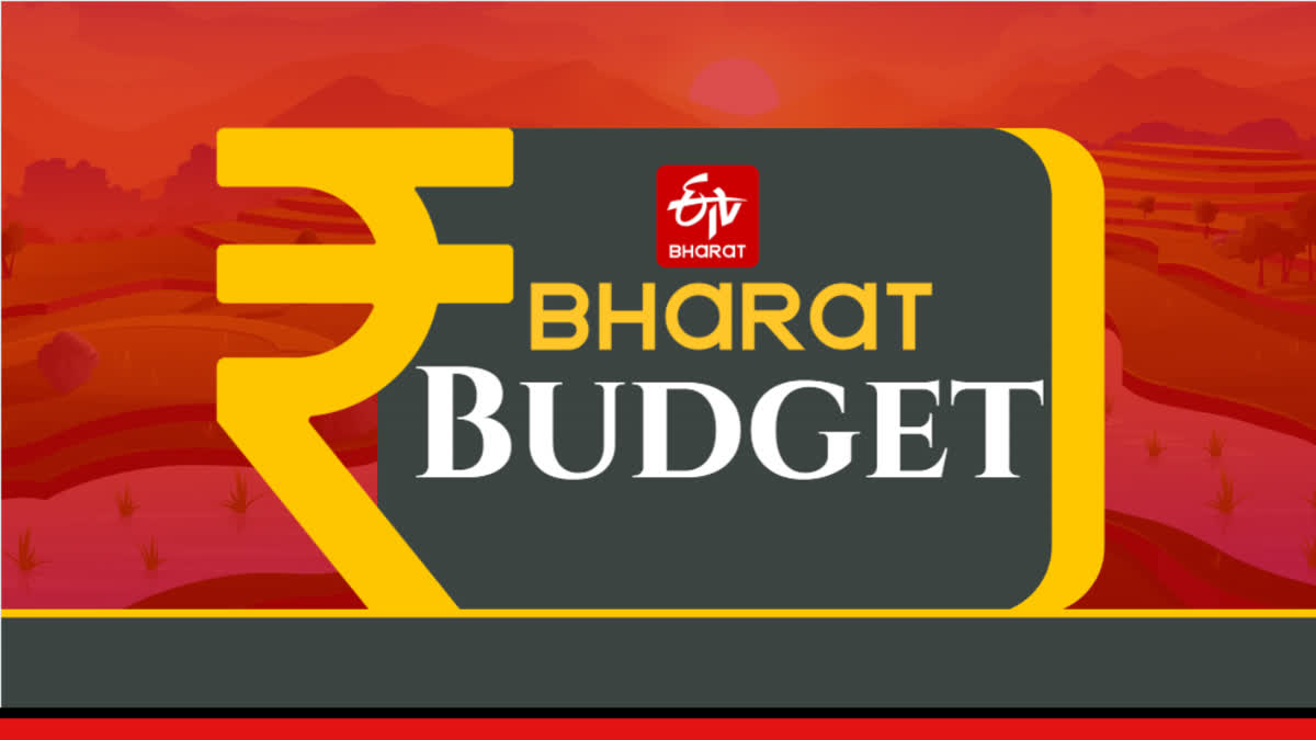 BUDGET 2025