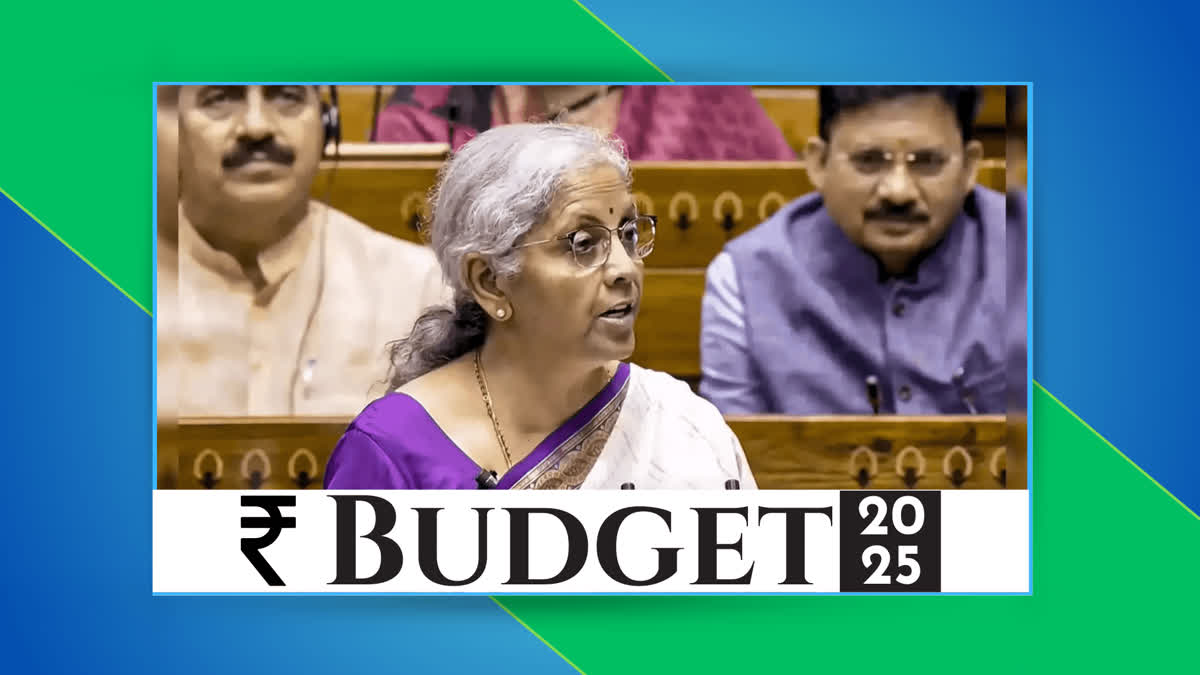 Union Budget 2025: Nirmala Sitharaman Announces Makhana Board In Bihar