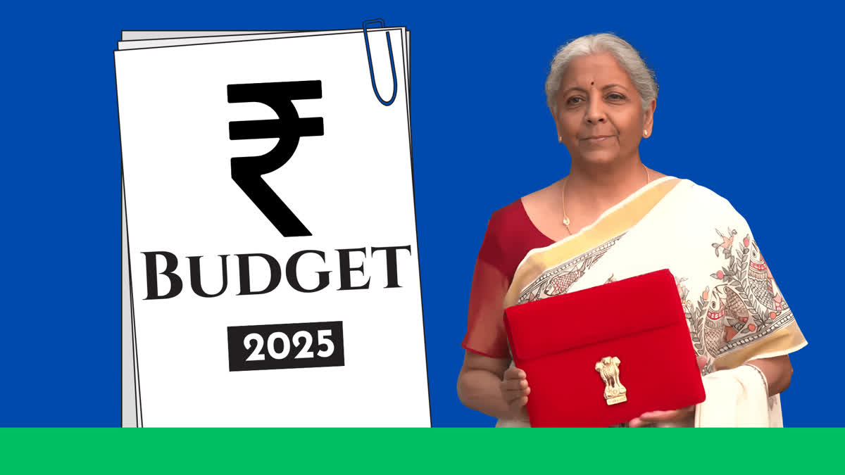 Union Budget 2025: Sitharaman Lists Investment As Third Growth Engine, People's Welfare And Innovation In Focus