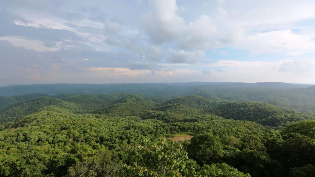 BHORAMDEV TIGER RESERVE