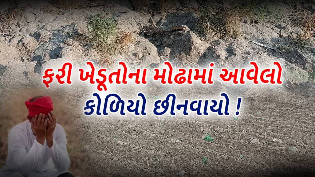 જીરાના પાકમાં સુકારા નામનો રોગ આવતા ખેડૂતો ખેતરો ખેડ્યા