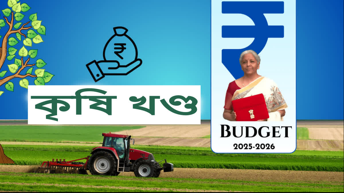 UNION BUDGET 2025