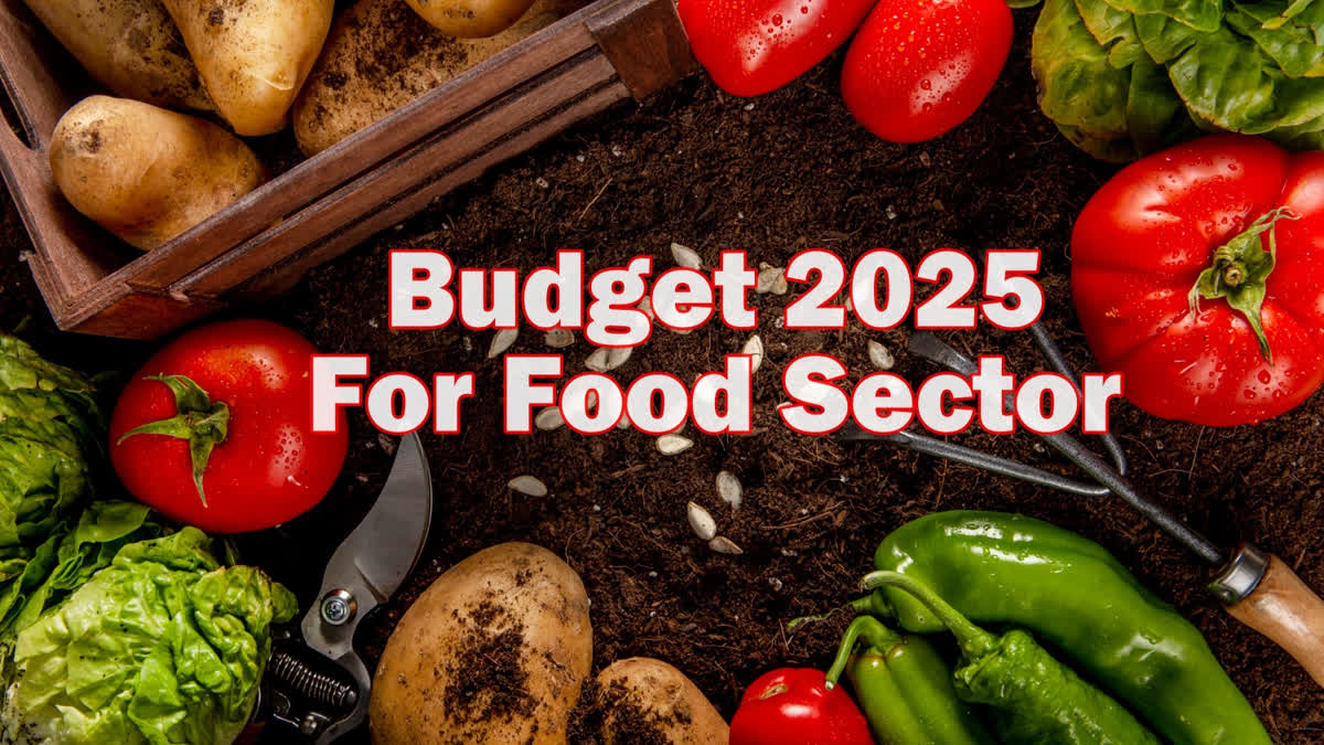 Budget 2025 provide for the food sector