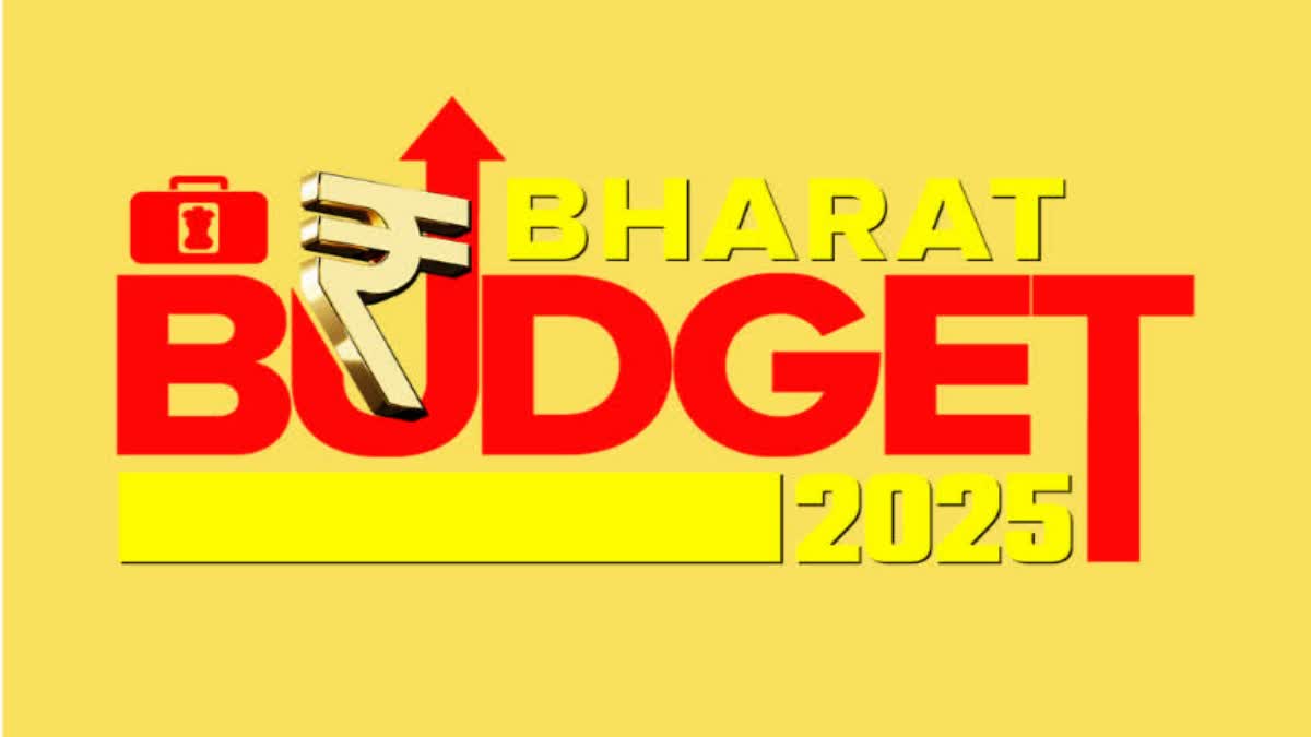 Budget 2025