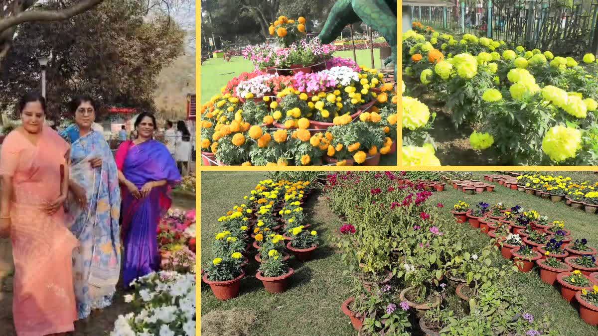 FLOWER SHOW IN BHILAI