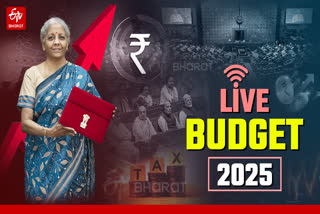 UNION BUDGET 2025