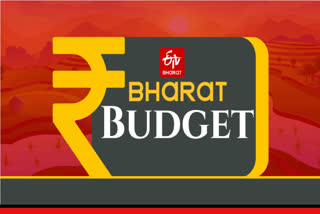 BUDGET 2025