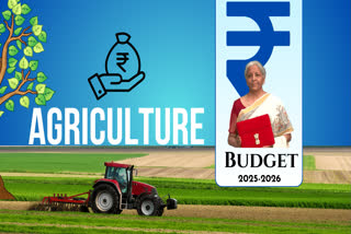 Budget 2025: Agriculture As Growth Engine; Here Is what Nirmala Sitharman Said