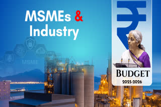 Finance Minister Nirmala Sitharaman in her Union Budget speech termed Micro, Small and Medium Enterprises (MSMEs) as the second growth engine of the nation