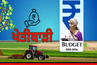 agriculture Budget 2025