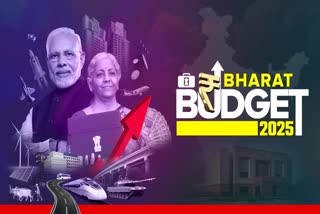 Budget 2025 FDI limit for insurance sector raised financial sector fm nirmala sitharaman