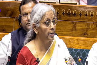 BUDGET 2025  NIRMALA SITHARAMAN  TELEGU POET GURUJADA APPARAO  DESAMANTE MANUSHULOYI