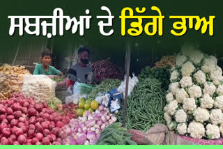 VEGETABLE PRICES HAVE DECREASED