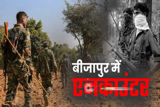 BIJAPUR MANY NAXALITES KILLED