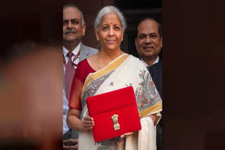 'Dream Come True': Padma Awardee On Sitharaman Wearing Saree Gifted By Her While Presenting Budget